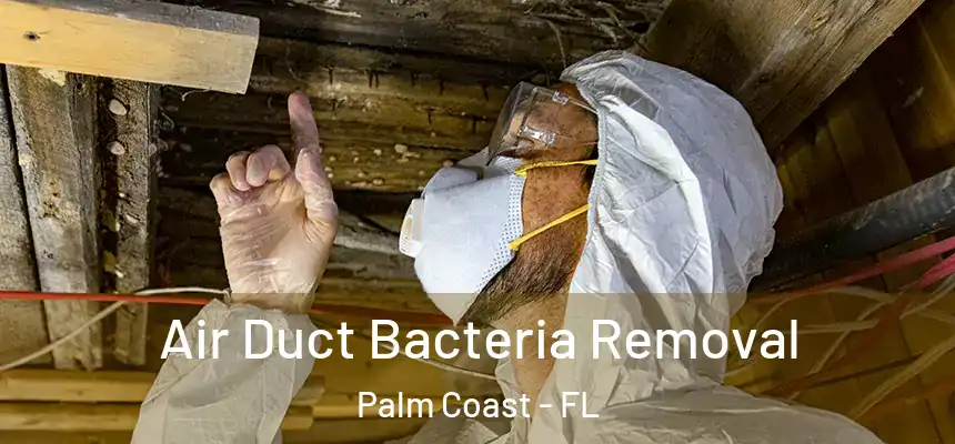  Air Duct Bacteria Removal Palm Coast - FL