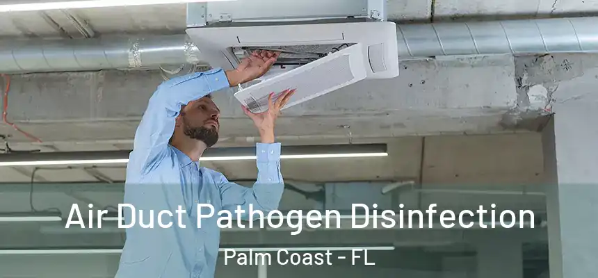 Air Duct Pathogen Disinfection Palm Coast - FL