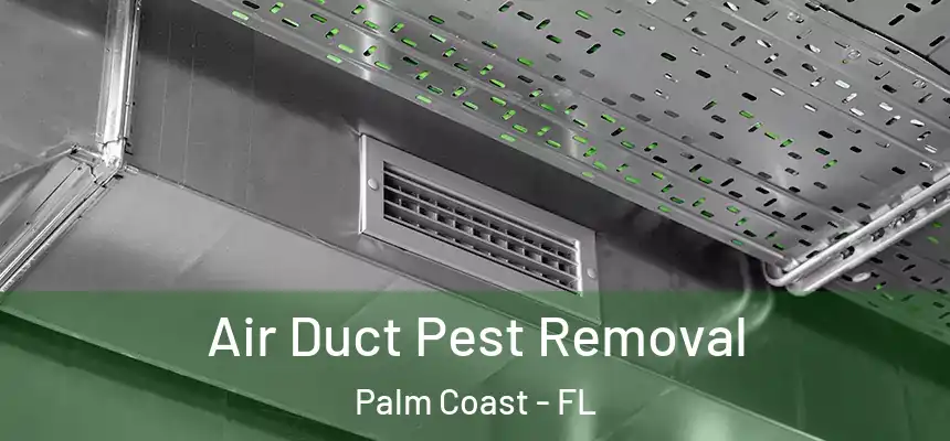  Air Duct Pest Removal Palm Coast - FL