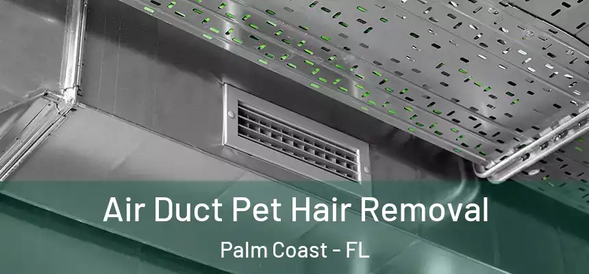 Air Duct Pet Hair Removal Palm Coast - FL