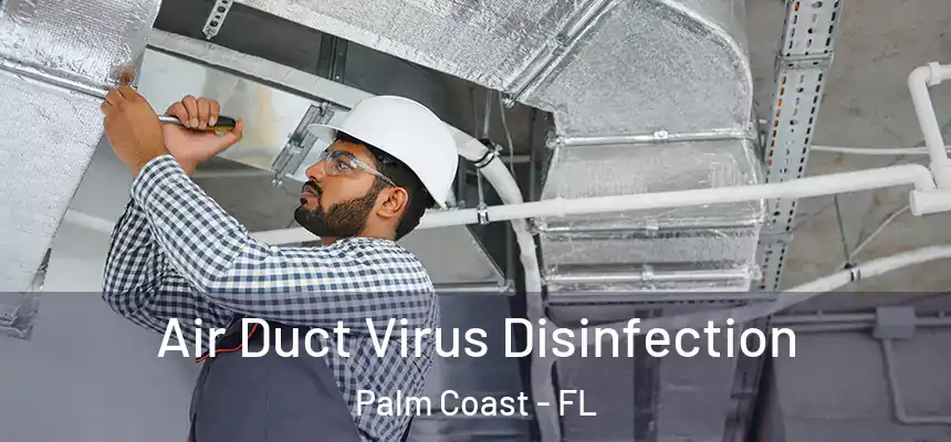  Air Duct Virus Disinfection Palm Coast - FL