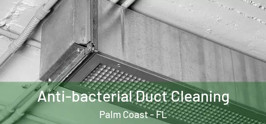  Anti-bacterial Duct Cleaning Palm Coast - FL