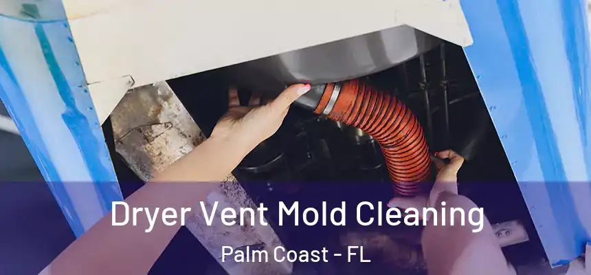 Dryer Vent Mold Cleaning Palm Coast - FL