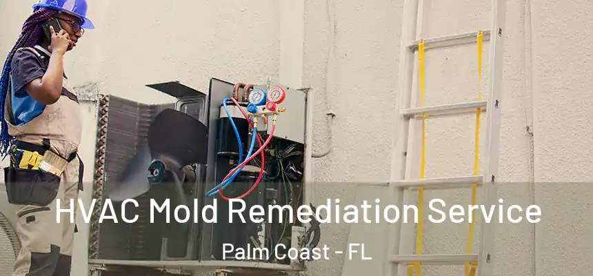  HVAC Mold Remediation Service Palm Coast - FL