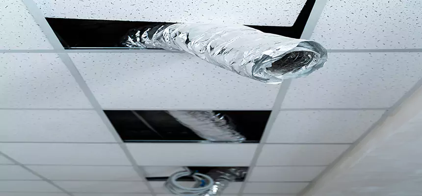 Our Air Duct Pet Hair Removal Services in Palm Coast, FL