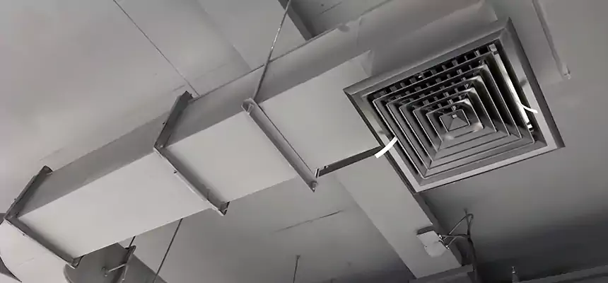 Restorative Allergy Relief Vent Cleaning – Coil, Blower & Housing Detail in Palm Coast