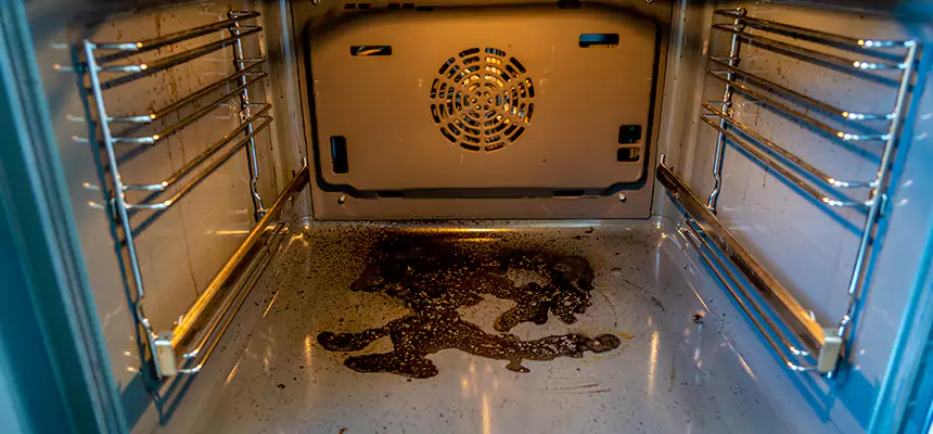 Our Dryer Vent Mold Cleaning Services in Palm Coast, FL