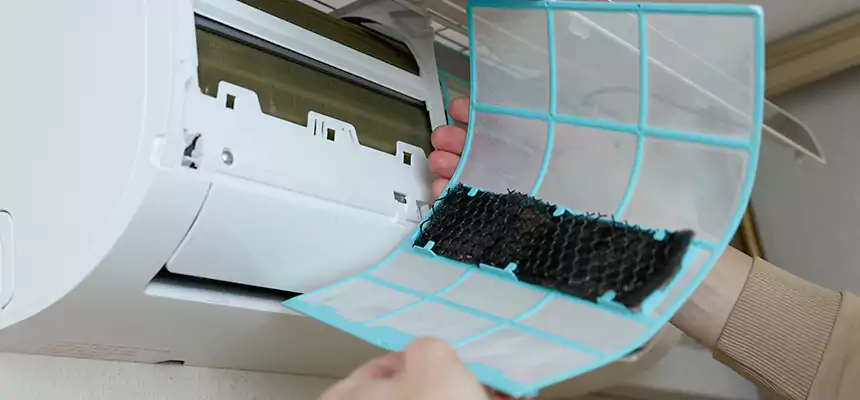 Gentle Ductwork Odor-Control Pet Dander Duct Cleaning in Palm Coast, FL