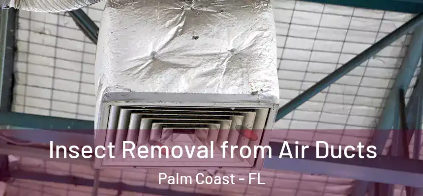  Insect Removal from Air Ducts Palm Coast - FL