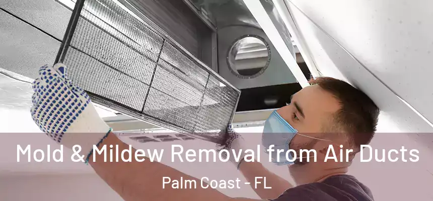  Mold & Mildew Removal from Air Ducts Palm Coast - FL