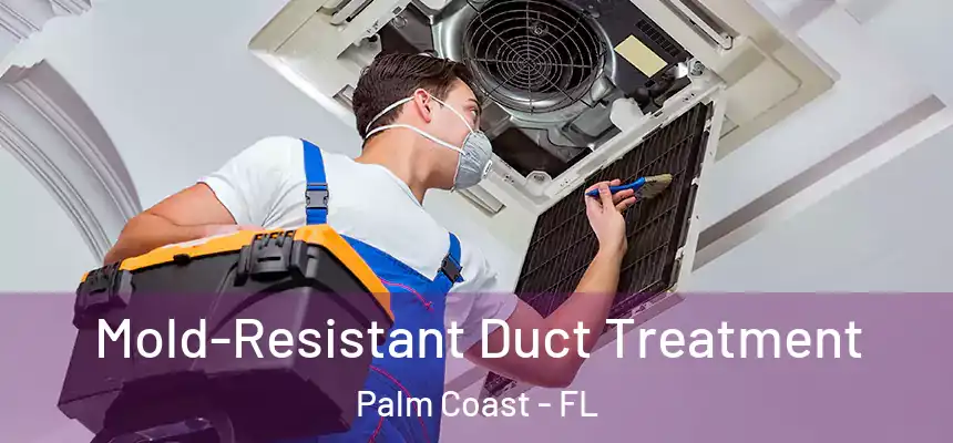  Mold-Resistant Duct Treatment Palm Coast - FL
