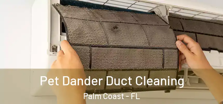  Pet Dander Duct Cleaning Palm Coast - FL