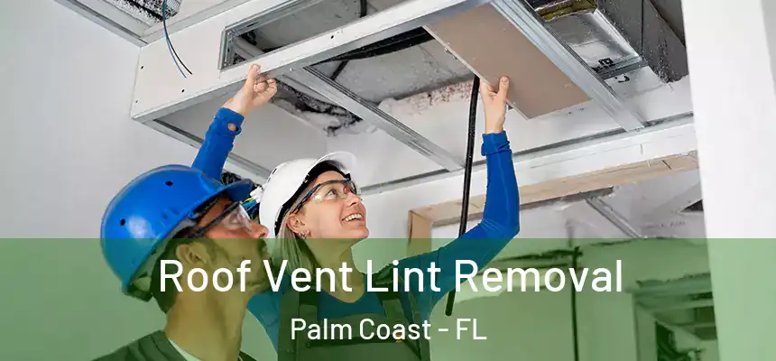 Roof Vent Lint Removal Palm Coast - FL