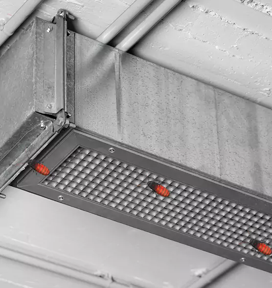 About Air Duct Cockroach Removal in Palm Coast, FL