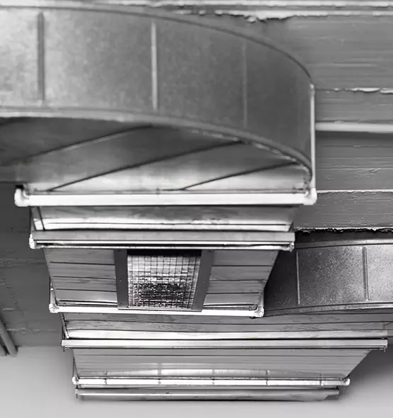 Professional Air Duct Pet Hair Removal in Palm Coast, FL