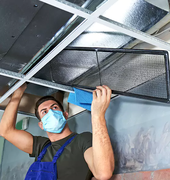 Professional Air Duct Pollen Cleaning in Palm Coast, FL