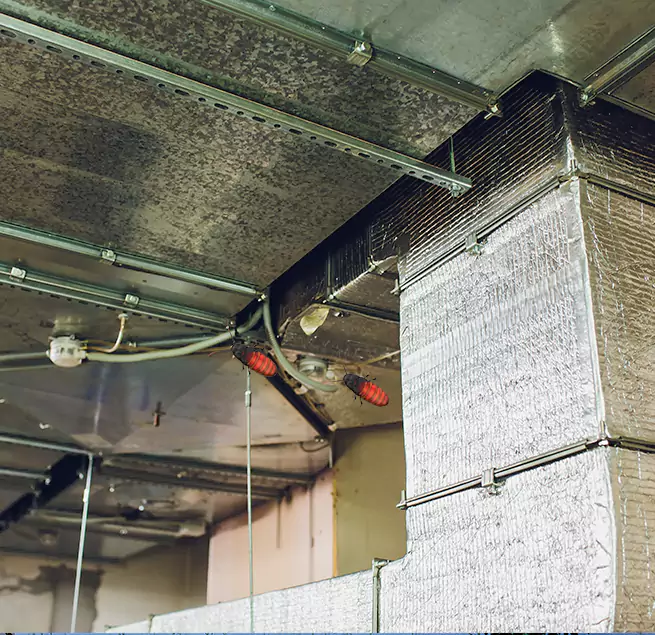 Why Homeowners & Businesses Trust Us in Palm Coast, FL?