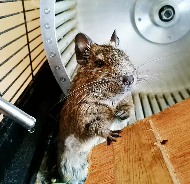 Why Homeowners & Businesses Trust Us Palm Coast, FL