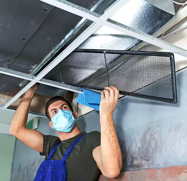 Why Homeowners Businesses Trust Us in Palm Coast, FL