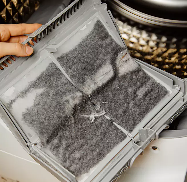  Why Homeowners & Businesses Trust Us Palm Coast, FL?