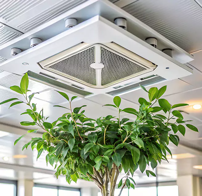 Why Homeowners & Businesses Trust Us in Palm Coast, FL