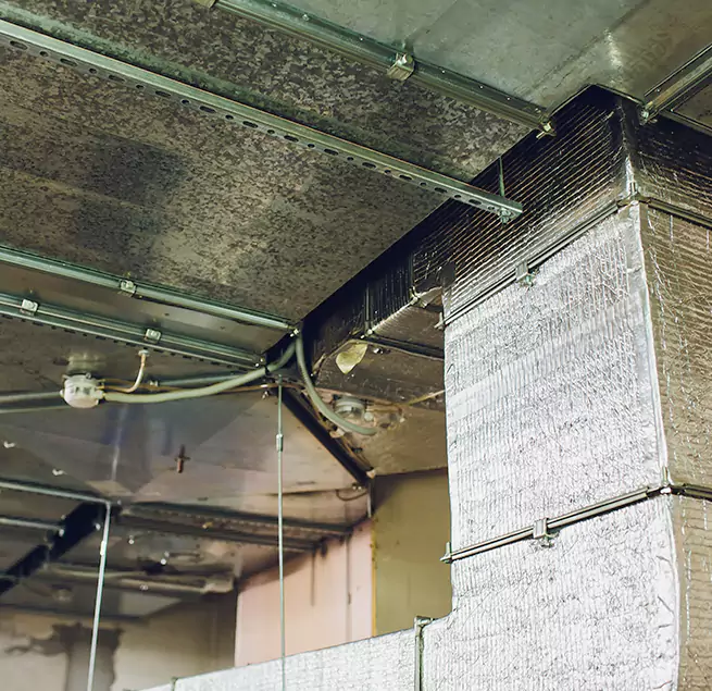 Why Homeowners & Businesses Trust Us in Palm Coast, FL?