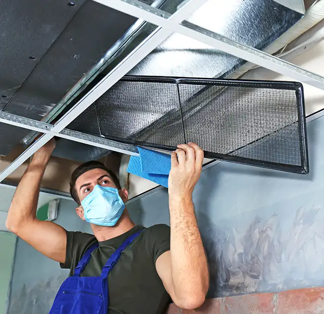 Why Homeowners & Businesses Trust Us in Palm Coast, FL?